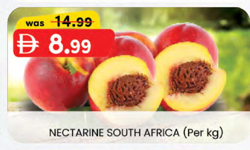 Nectarine from South Africa available at Al Safa in UAE - Al Ain