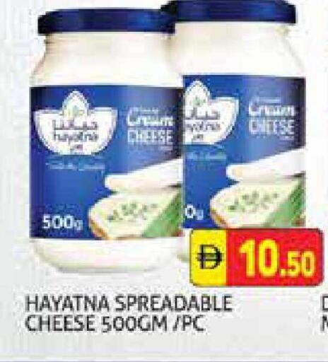 available at هايبرماركت النخيل محيصنة in الإمارات العربية المتحدة , الامارات - دبي