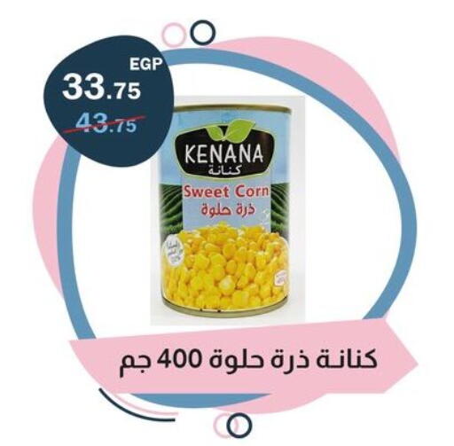 available at Flamingo Hyper Market in Egypt - Cairo