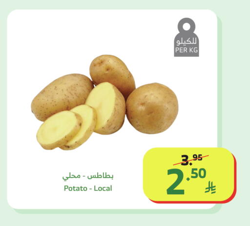 Potato available at الراية in مملكة العربية السعودية, السعودية, سعودية - خميس مشيط