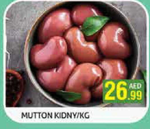 available at هايبرماركت النخيل محيصنة in الإمارات العربية المتحدة , الامارات - دبي