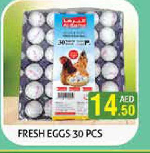 available at هايبرماركت النخيل محيصنة in الإمارات العربية المتحدة , الامارات - دبي