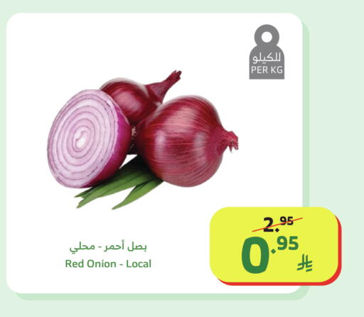 Onion available at Al Raya in KSA, Saudi Arabia, Saudi - Yanbu