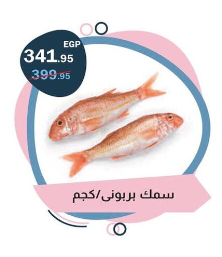 available at فلامنجو هايبرماركت in Egypt - القاهرة