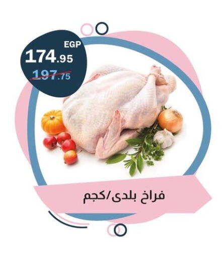 available at فلامنجو هايبرماركت in Egypt - القاهرة