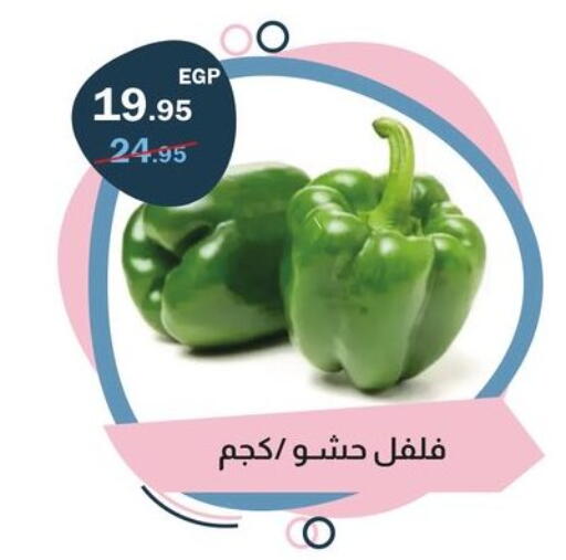 available at Flamingo Hyper Market in Egypt - Cairo