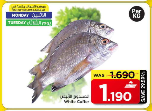 available at مارك & سايف in عُمان - مسقط‎