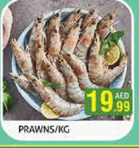 available at Palm Hypermarket Muhaisina LLC in UAE - Dubai