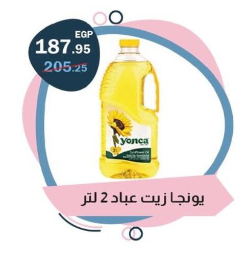 available at فلامنجو هايبرماركت in Egypt - القاهرة