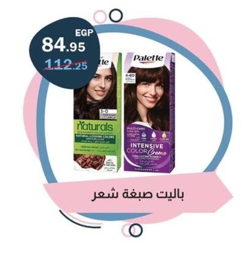 available at Flamingo Hyper Market in Egypt - Cairo