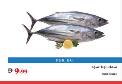 available at تروليز سوبرماركت in الإمارات العربية المتحدة , الامارات - الشارقة / عجمان