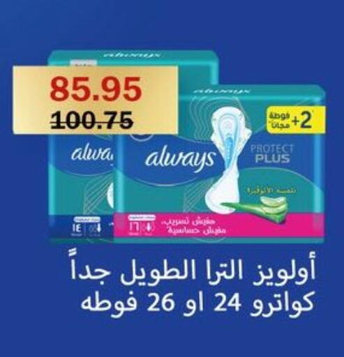 available at فلامنجو هايبرماركت in Egypt - القاهرة