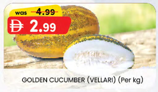 Cucumber available at Al Safa in UAE - Al Ain