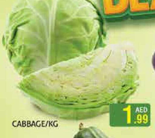 Cabbage available at هايبرماركت النخيل محيصنة in الإمارات العربية المتحدة , الامارات - دبي