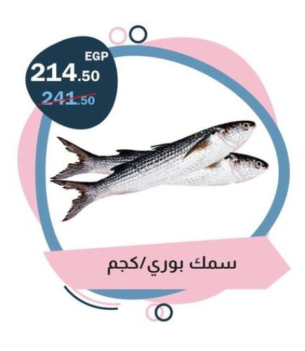 available at فلامنجو هايبرماركت in Egypt - القاهرة