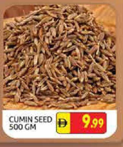 Cumin available at هايبرماركت النخيل محيصنة in الإمارات العربية المتحدة , الامارات - دبي