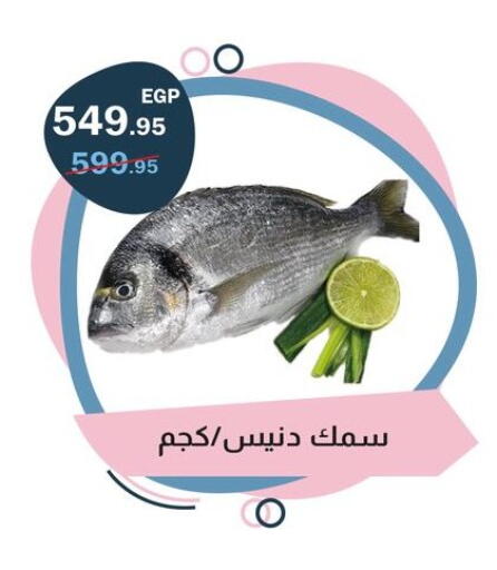 available at فلامنجو هايبرماركت in Egypt - القاهرة