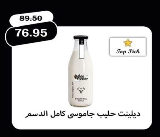 available at فلامنجو هايبرماركت in Egypt - القاهرة