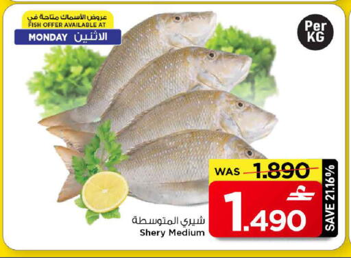 available at مارك & سايف in عُمان - مسقط‎