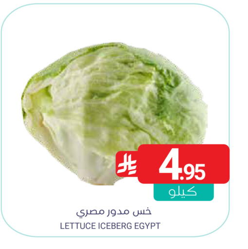 Lettuce available at Muntazah Markets in KSA, Saudi Arabia, Saudi - Qatif