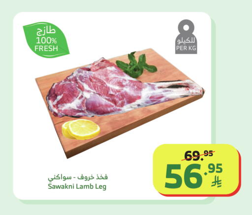 available at Al Raya in KSA, Saudi Arabia, Saudi - Tabuk