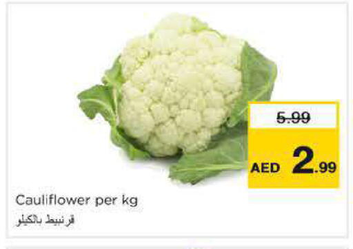 Cauliflower available at Nesto Hypermarket in UAE - Dubai