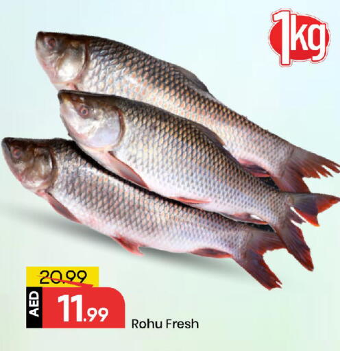 available at Mark & Save in UAE - Sharjah / Ajman