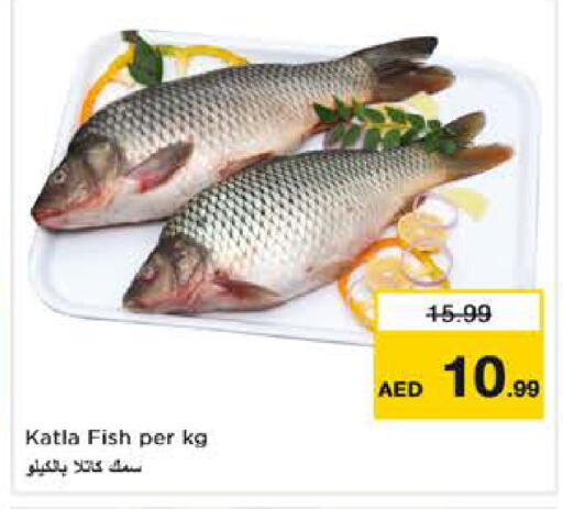 available at نستو هايبرماركت in الإمارات العربية المتحدة , الامارات - أبو ظبي