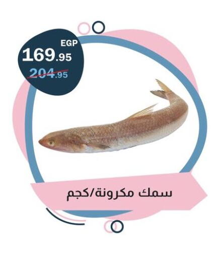 available at فلامنجو هايبرماركت in Egypt - القاهرة