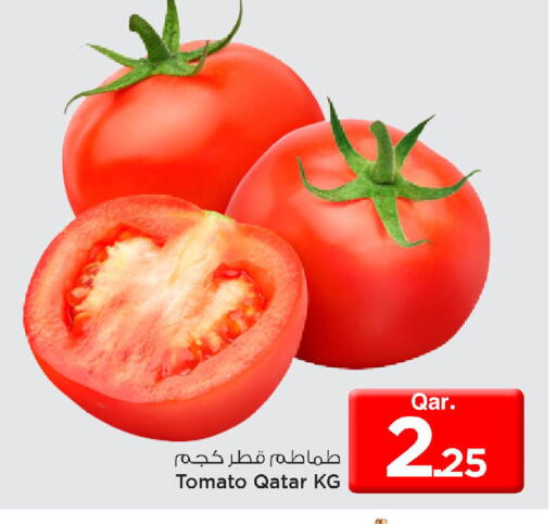 Tomato from Qatar available at مارك & سيف in قطر - الخور