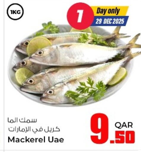 available at روابي هايبرماركت in قطر - الدوحة