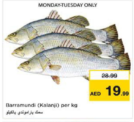 available at نستو هايبرماركت in الإمارات العربية المتحدة , الامارات - أبو ظبي