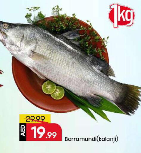 available at Mark & Save in UAE - Sharjah / Ajman