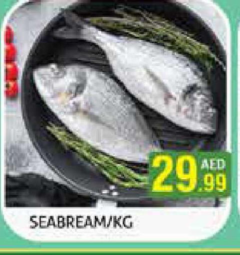 available at هايبرماركت النخيل محيصنة in الإمارات العربية المتحدة , الامارات - دبي