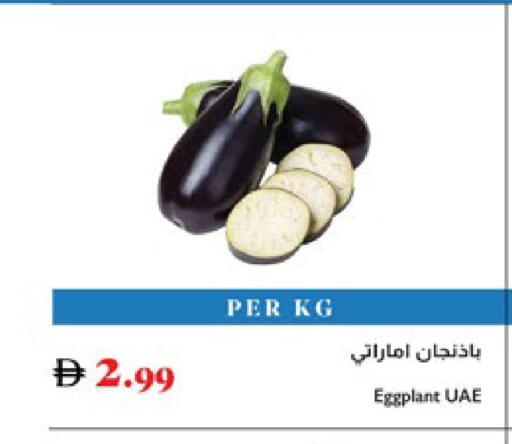 Eggplant available at Trolleys Supermarket in UAE - Sharjah / Ajman