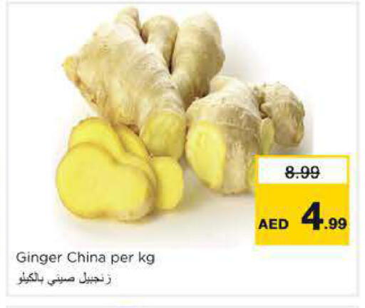 Ginger available at نستو هايبرماركت in الإمارات العربية المتحدة , الامارات - دبي