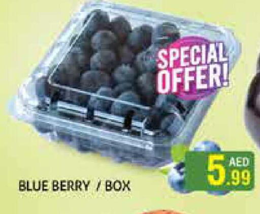 available at هايبرماركت النخيل محيصنة in الإمارات العربية المتحدة , الامارات - دبي