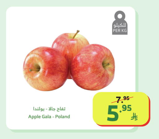 Apple from Poland available at Al Raya in KSA, Saudi Arabia, Saudi - Bishah