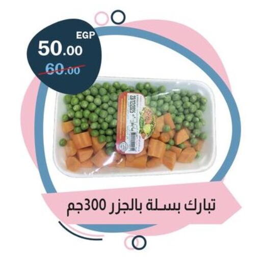 available at فلامنجو هايبرماركت in Egypt - القاهرة