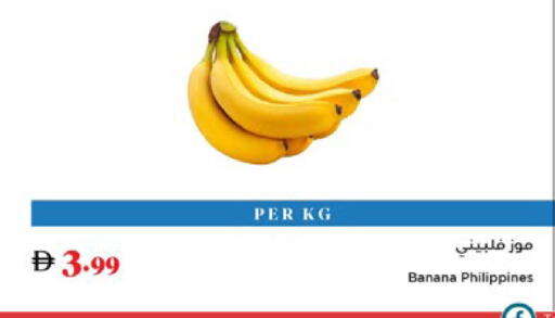 Banana from Philippines available at تروليز سوبرماركت in الإمارات العربية المتحدة , الامارات - الشارقة / عجمان
