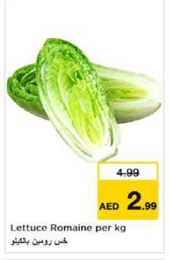 Lettuce available at Nesto Hypermarket in UAE - Abu Dhabi
