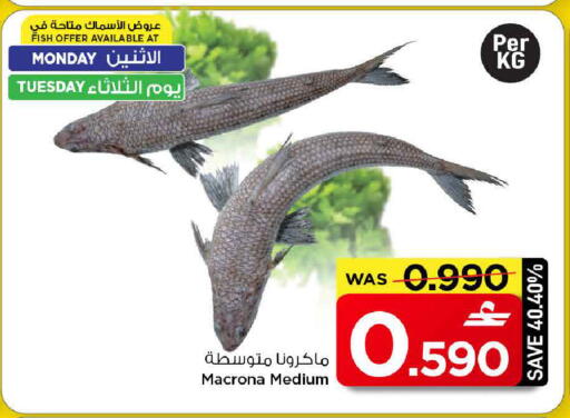 available at مارك & سايف in عُمان - مسقط‎