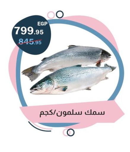 available at فلامنجو هايبرماركت in Egypt - القاهرة