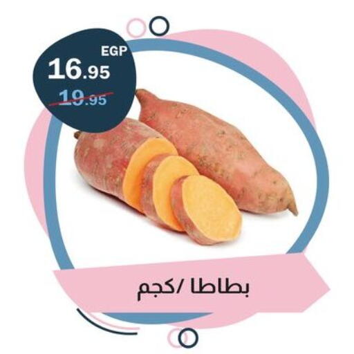 available at فلامنجو هايبرماركت in Egypt - القاهرة