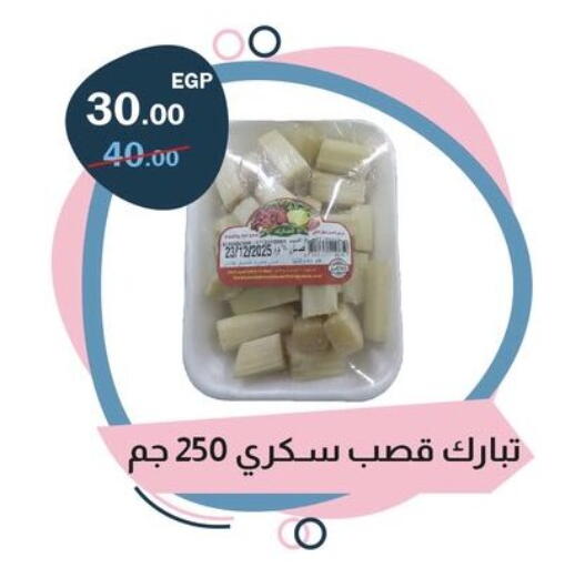 available at فلامنجو هايبرماركت in Egypt - القاهرة