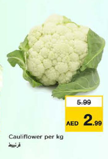Cauliflower available at Nesto Hypermarket in UAE - Dubai