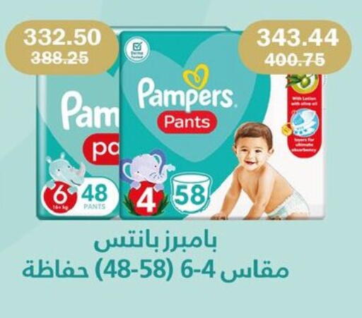 available at فلامنجو هايبرماركت in Egypt - القاهرة