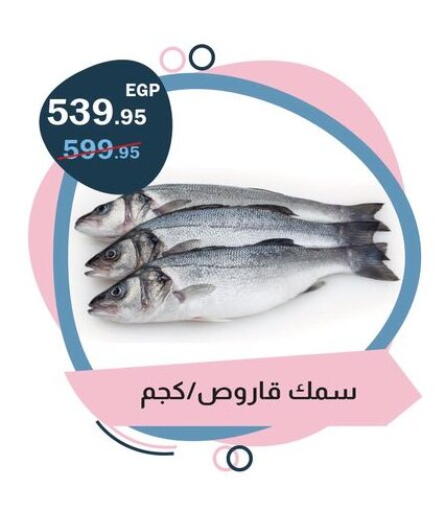 available at فلامنجو هايبرماركت in Egypt - القاهرة