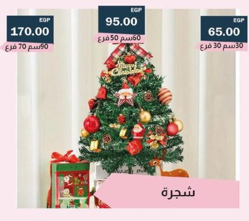 available at فلامنجو هايبرماركت in Egypt - القاهرة