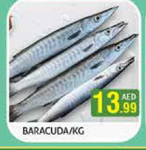 available at هايبرماركت النخيل محيصنة in الإمارات العربية المتحدة , الامارات - دبي